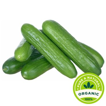 Organic Cucumber 500G